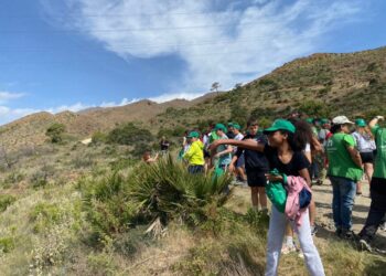 Los Cascos Verdes logran reforestar Sierra Bermeja con más de 14.000 árboles