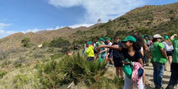 Los Cascos Verdes logran reforestar Sierra Bermeja con más de 14.000 árboles