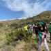 Los Cascos Verdes logran reforestar Sierra Bermeja con más de 14.000 árboles