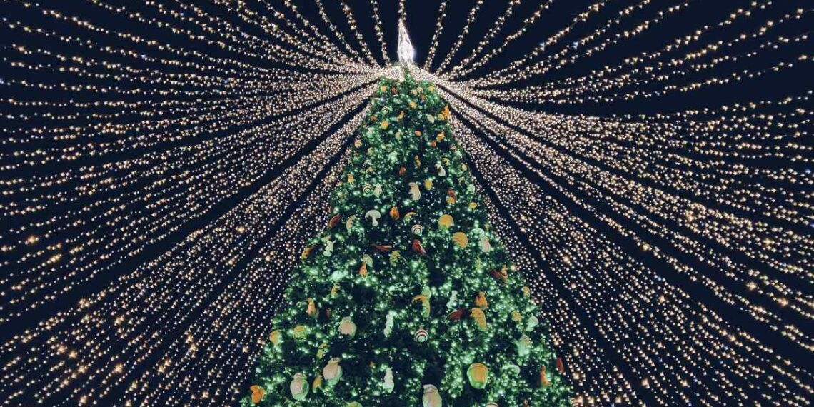 Luces navideñas, mercadillos, día del vecino o arte: Los mejores planes para el primer fin de semana de diciembre