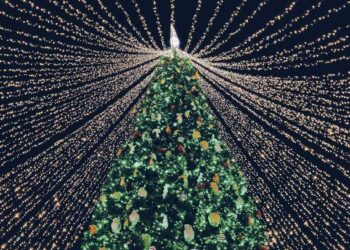 Luces navideñas, mercadillos, día del vecino o arte: Los mejores planes para el primer fin de semana de diciembre