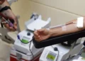 El Centro de Transfusión de Málaga anima a donar sangre durante las Navidades