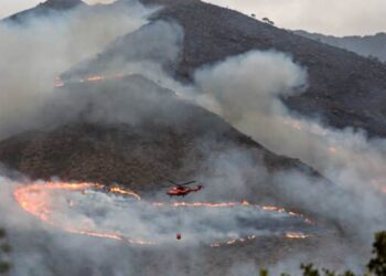 Universidad y Diputación de Málaga premian una investigación sobre el incendio en Sierra Bermeja