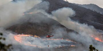 Universidad y Diputación de Málaga premian una investigación sobre el incendio en Sierra Bermeja