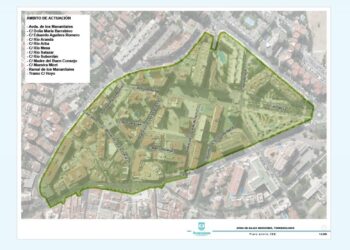 Torremolinos no sancionará durante los seis primeros meses de implantación de la Zona de Bajas Emisiones
