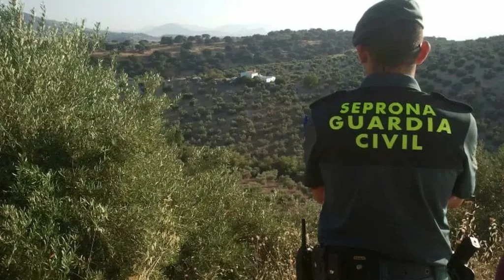 Aumentan las infracciones contra la naturaleza: 29 detenidos y 231 investigados en 2023