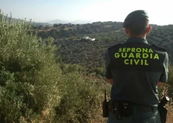 Aumentan las infracciones contra la naturaleza: 29 detenidos y 231 investigados en 2023