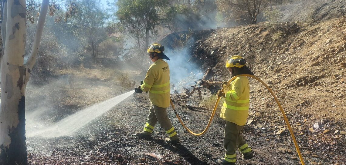El incendio de Mijas afectó a nueve hectáreas de matorral