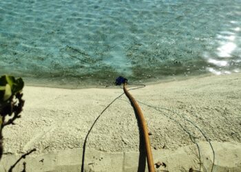 Empiezan a vaciar el lago del Parque La Batería de Torremolinos para utilizar el agua para riegos