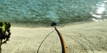 Empiezan a vaciar el lago del Parque La Batería de Torremolinos para utilizar el agua para riegos