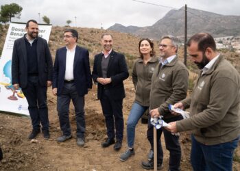 Benalmádena tendrá su primer bosque sostenible con 1.200 árboles de diferentes especies