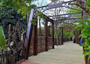 Bioparc Fuengirola busca personal para este 2024