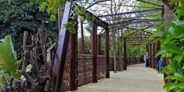 Bioparc Fuengirola busca personal para este 2024