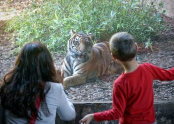 Bioparc Fuengirola se coloca entre las diez mejores atracciones de la provincia
