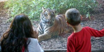 Bioparc Fuengirola se coloca entre las diez mejores atracciones de la provincia