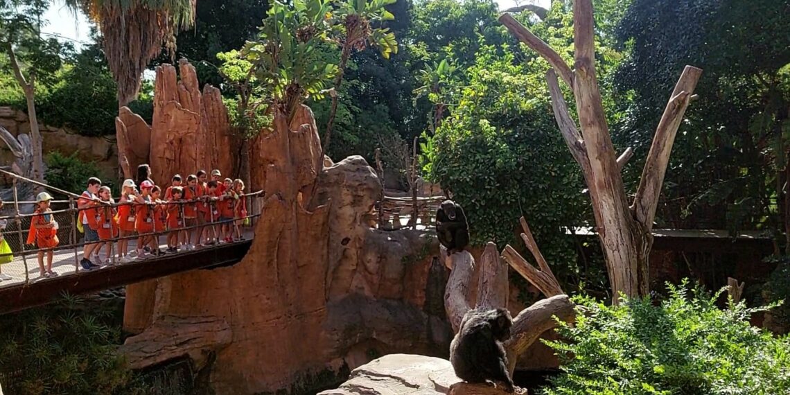 Bioparc Fuengirola vuelve a celebrar su campamento infantil en Semana Blanca