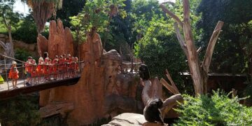 Bioparc Fuengirola vuelve a celebrar su campamento infantil en Semana Blanca