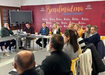 El alcalde de Benalmádena detalla las inversiones en centros educativos ante el Consejo Escolar
