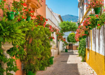 Enero primaveral en la Costa del Sol con un notable ascenso de las temperaturas