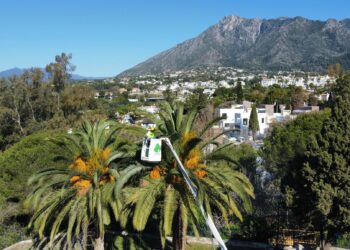 Marbella realizó en 2023 más de 30.200 intervenciones en materia de sanidad vegetal