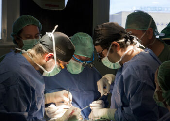 El Hospital Regional de Málaga, líder en trasplantes en Andalucía en 2023