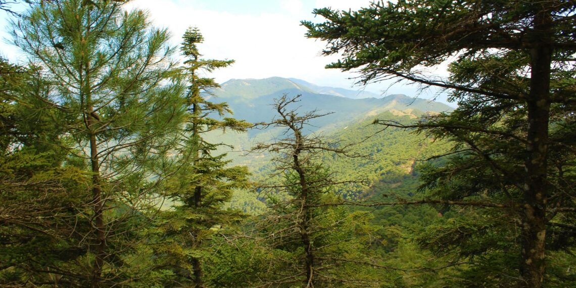Sierra Bermeja concentra las mayores precipitaciones de la provincia e incluso algo de nieve