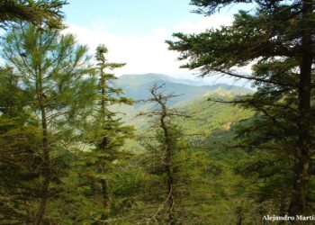 Sierra Bermeja concentra las mayores precipitaciones de la provincia e incluso algo de nieve