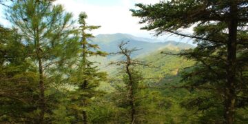 Sierra Bermeja concentra las mayores precipitaciones de la provincia e incluso algo de nieve