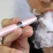 El Gobierno prohíbe la venta de cigarrillos electrónicos con aromas