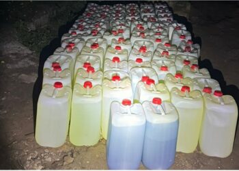 Incautadas 80 petacas de gasolina y víveres en una playa de Manilva