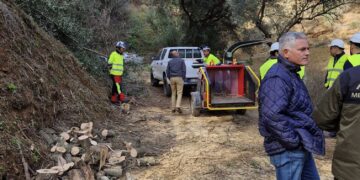 La Junta inicia los trabajos preventivos de incendios en los Montes de Málaga