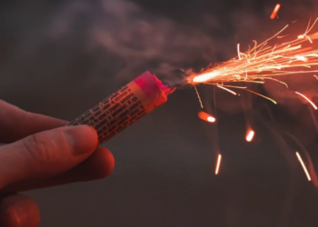 PACMA y Ayuntamiento se reúnen para acabar definitivamente con el uso de pirotecnia en Fuengirola