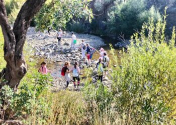 Un total de 2.000 alumnos han participado en lo que va de curso en las Rutas de Senderismo Escolar organizadas por el Ayuntamiento