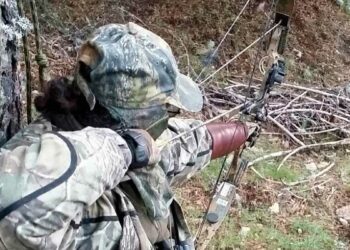 Mijas contrata urgentemente a arqueros para frenar la sobrepoblación de jabalíes