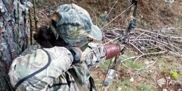 Mijas contrata urgentemente a arqueros para frenar la sobrepoblación de jabalíes