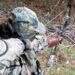 Mijas contrata urgentemente a arqueros para frenar la sobrepoblación de jabalíes