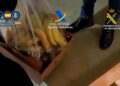 Intervienen en el Puerto de Málaga hasta 1.822 kilos de cocaína ocultos en contenedores