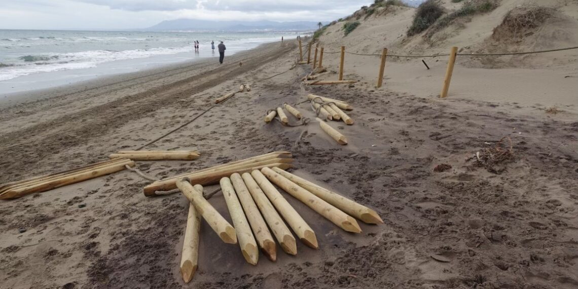 La borrasca Karlotta provoca importantes destrozos en las dunas de Marbella