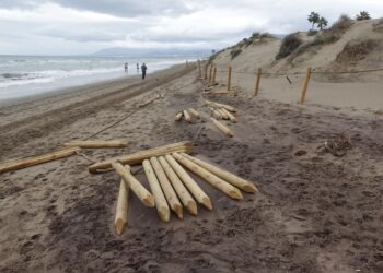 La borrasca Karlotta provoca importantes destrozos en las dunas de Marbella