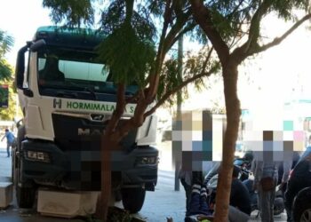 Un conductor de camión se desvanece al volante e impacta contra un árbol en Estepona