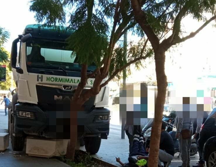 Un conductor de camión se desvanece al volante e impacta contra un árbol en Estepona