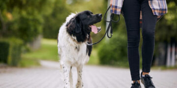 La Policía Local de Torremolinos impone 260 sanciones a dueños de mascotas en lo que va de año