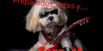 Todo listo en Fuengirola para ‘Perrock’: un festival a beneficio de los animales