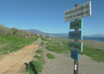 Diputación organiza una jornada de reforestación en Manilva para el próximo 18 de febrero