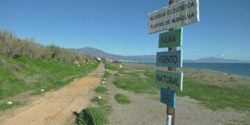 Diputación organiza una jornada de reforestación en Manilva para el próximo 18 de febrero