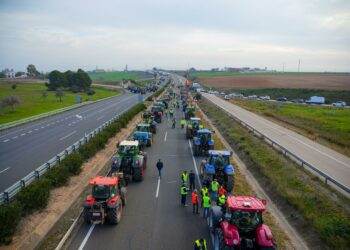 Junta aprueba este martes una declaración institucional a favor de las «justas reivindicaciones» de los agricultores