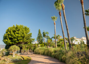 Una veintena de empresas optan a construir el nuevo tramo de la senda litoral de Estepona en Benamara