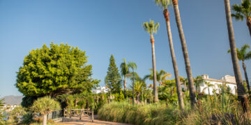 Una veintena de empresas optan a construir el nuevo tramo de la senda litoral de Estepona en Benamara