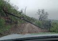 El temporal deja más de 120 incidencias durante la madrugada y la mañana del domingo en Andalucía
