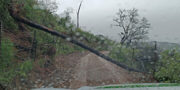 El temporal deja más de 120 incidencias durante la madrugada y la mañana del domingo en Andalucía